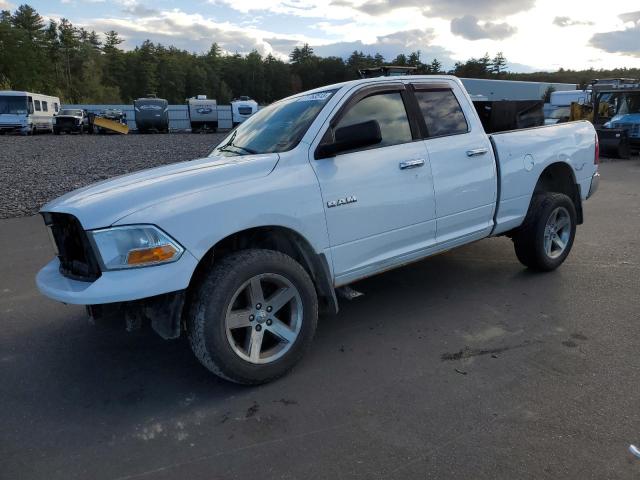 DODGE RAM 1500 2010 1d7rv1gp3as160564