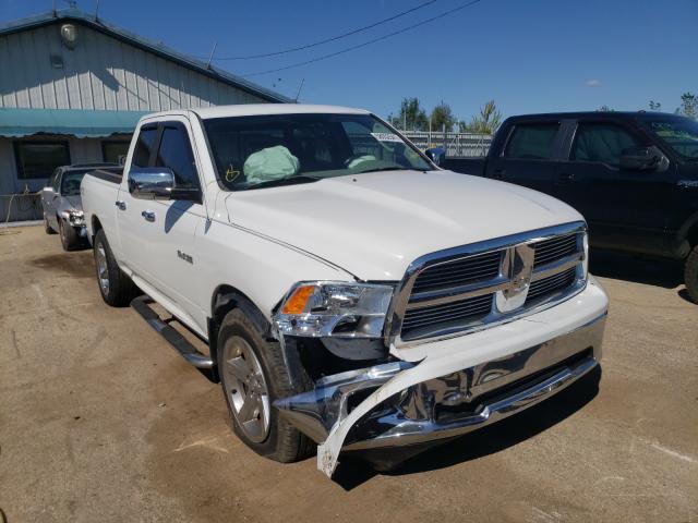 DODGE RAM 1500 2010 1d7rv1gp3as258610