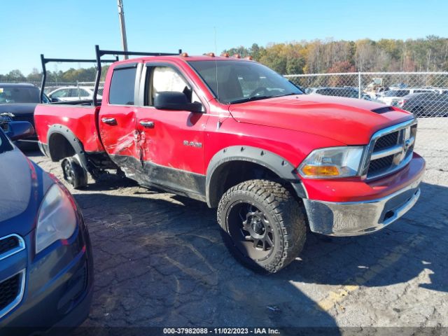 DODGE RAM 1500 2010 1d7rv1gp4as159570