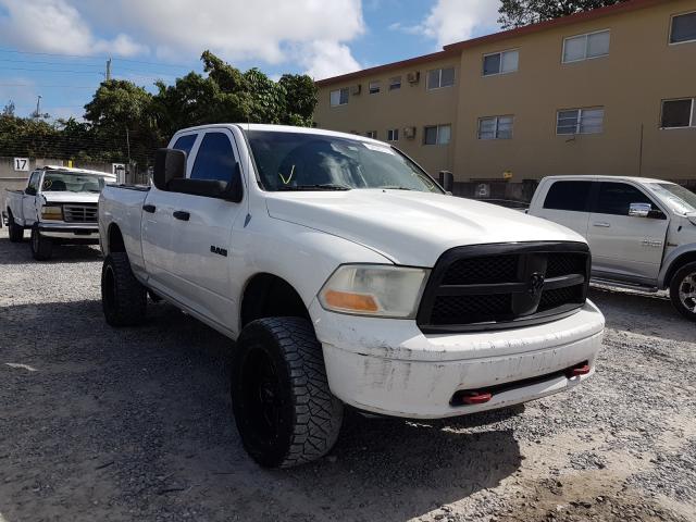 DODGE RAM 1500 2010 1d7rv1gp4as194576