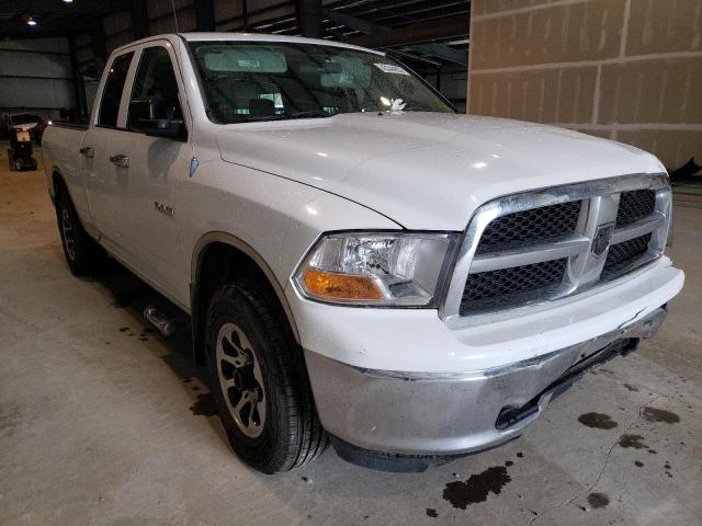 DODGE RAM 1500 2010 1d7rv1gp4as211294