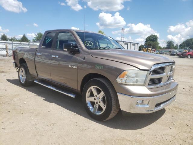 DODGE RAM 1500 2010 1d7rv1gp4as211327