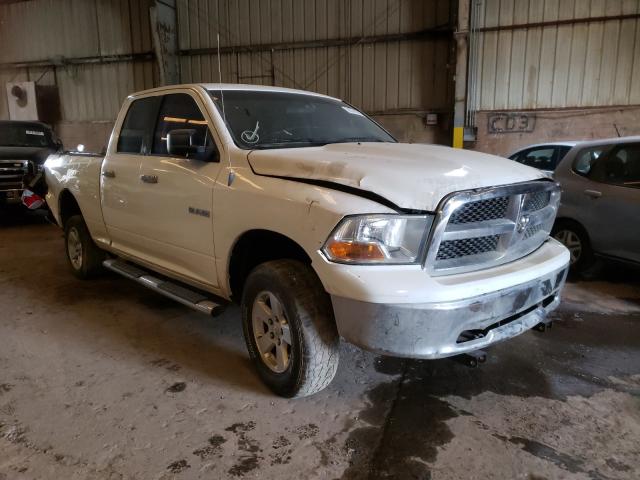 DODGE RAM 1500 2010 1d7rv1gp4as256185