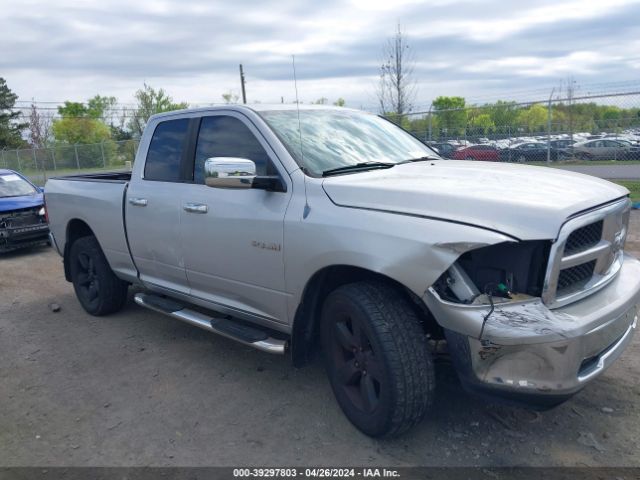 DODGE RAM 1500 2010 1d7rv1gp5as105372