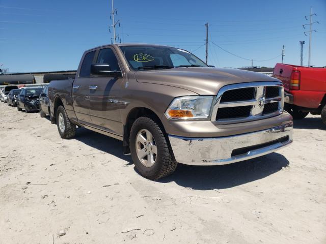 DODGE RAM 1500 2010 1d7rv1gp5as182761