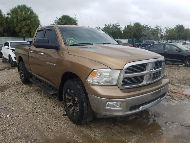 DODGE RAM 1500 2011 1d7rv1gp5bs613441