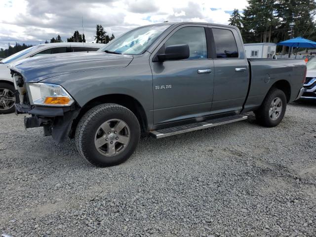 DODGE RAM 1500 2010 1d7rv1gp6as109771