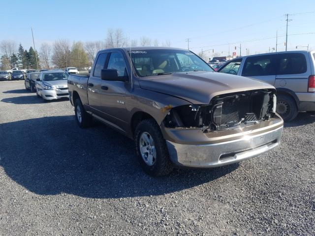 DODGE RAM 1500 2010 1d7rv1gp7as137532