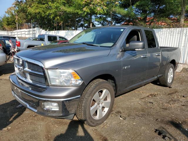 DODGE RAM 1500 2010 1d7rv1gp7as157568