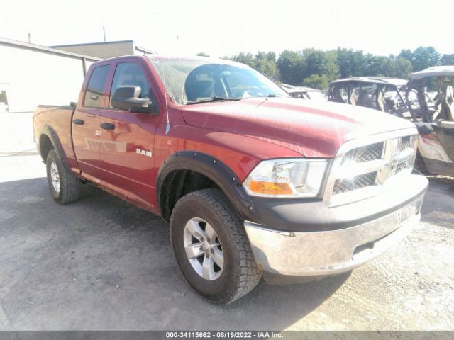 DODGE RAM 1500 2010 1d7rv1gp7as204792