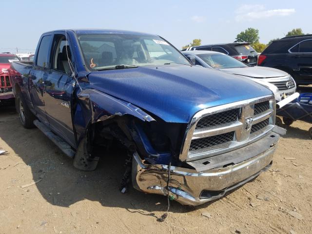 DODGE RAM 1500 2010 1d7rv1gp7as215789