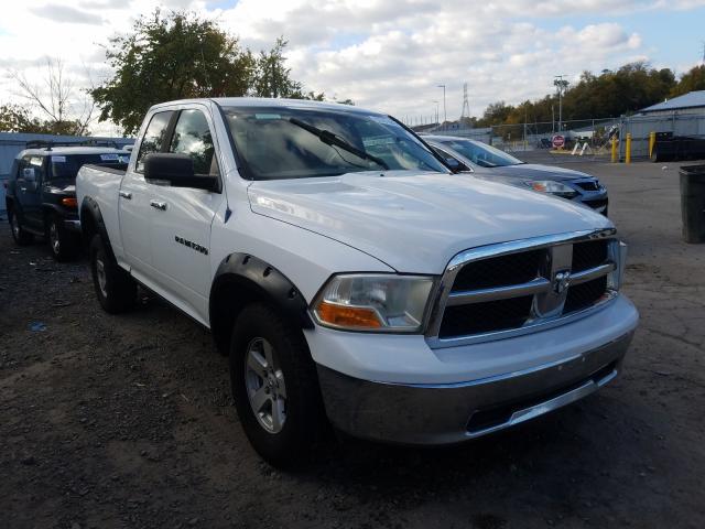 DODGE RAM 1500 2011 1d7rv1gp8bs541389