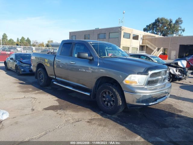 RAM NULL 2011 1d7rv1gp8bs707233