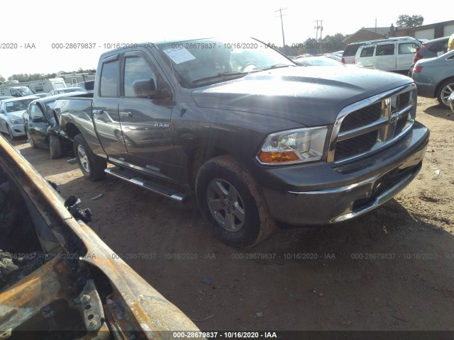 DODGE RAM 1500 2010 1d7rv1gpxas112897