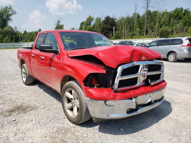 DODGE RAM 1500 2010 1d7rv1gpxas177698