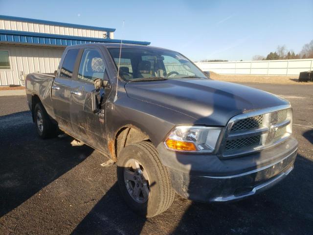 DODGE RAM 1500 2010 1d7rv1gpxas207105