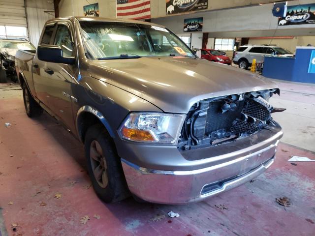 DODGE RAM 1500 2010 1d7rv1gt0as119452