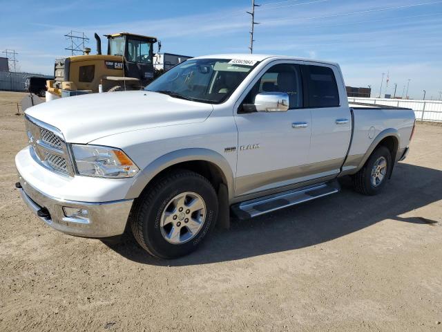 DODGE RAM 1500 2010 1d7rv1gt0as142665