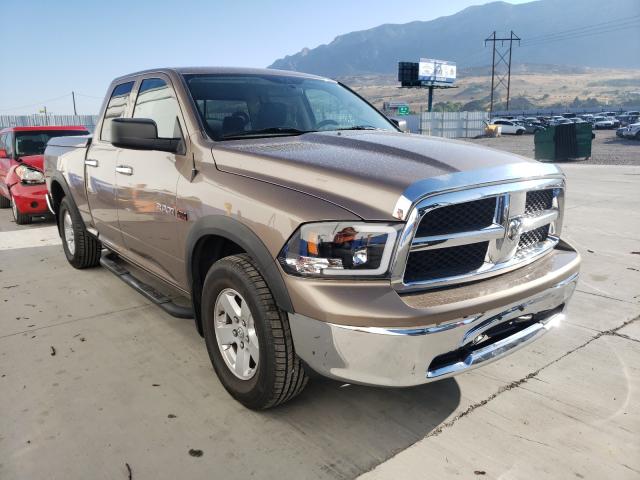 DODGE RAM 1500 2010 1d7rv1gt0as150412