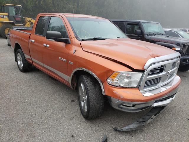 DODGE RAM 1500 2010 1d7rv1gt0as166769