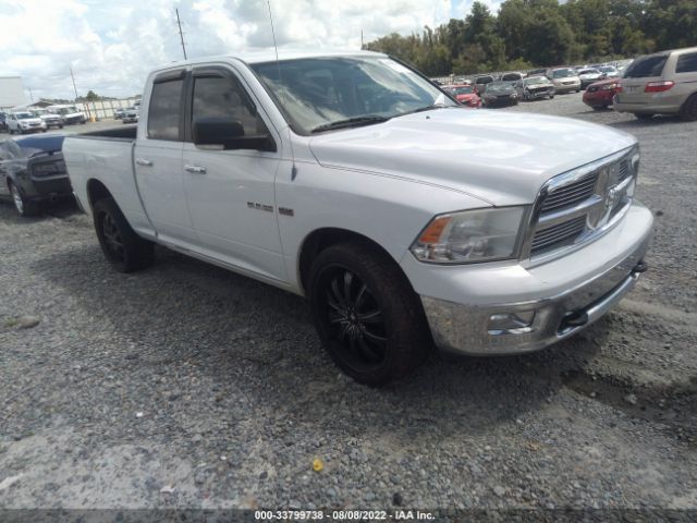 DODGE RAM 1500 2010 1d7rv1gt0as197780