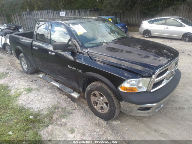 DODGE RAM 1500 2010 1d7rv1gt0as207272