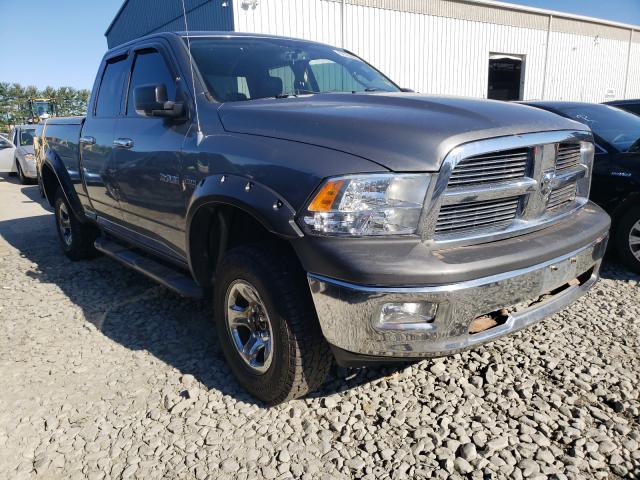 DODGE RAM 1500 2010 1d7rv1gt0as207644