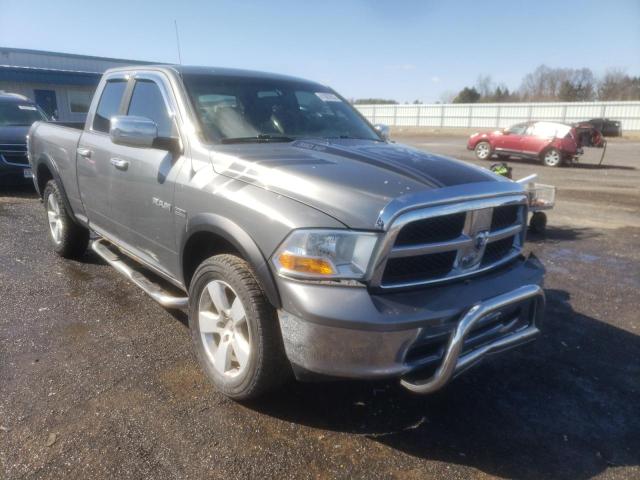 DODGE RAM 1500 2010 1d7rv1gt0as209877