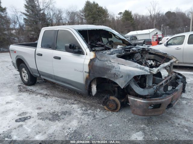 DODGE RAM 1500 2010 1d7rv1gt0as211449