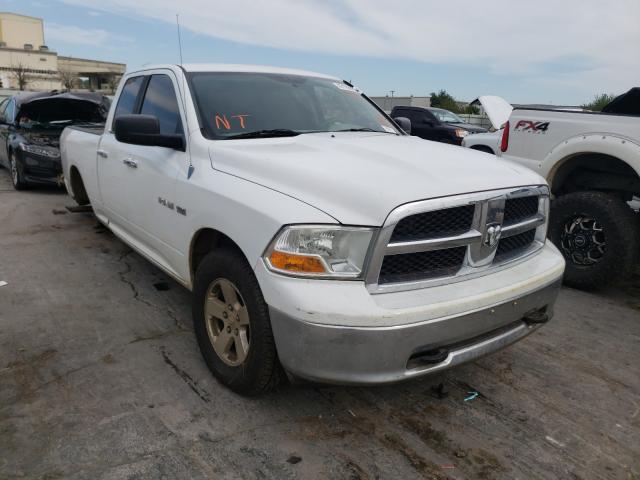 DODGE RAM 1500 2010 1d7rv1gt0as225805