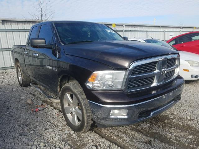 DODGE RAM 1500 2010 1d7rv1gt0as229224