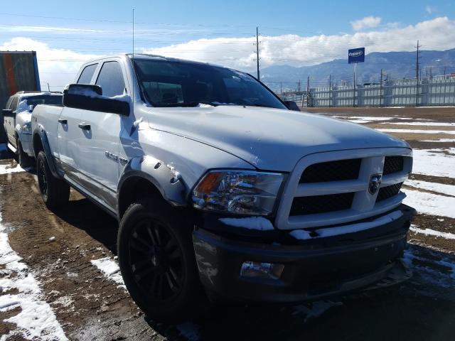 DODGE RAM 1500 2010 1d7rv1gt0as262370