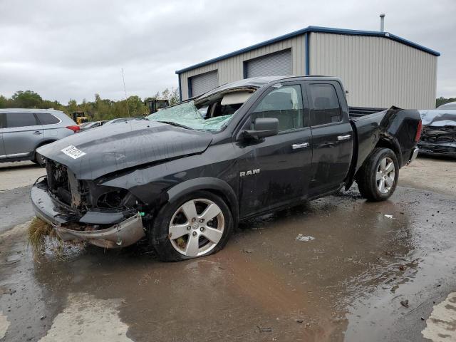 DODGE ALL MODELS 2010 1d7rv1gt1as116639