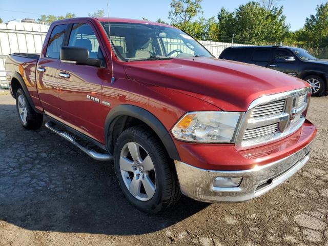 DODGE RAM 1500 2010 1d7rv1gt1as124272