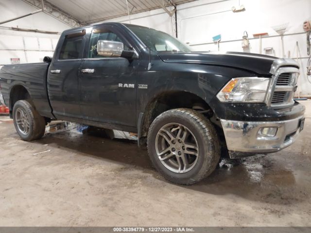 DODGE RAM 1500 2010 1d7rv1gt1as129858