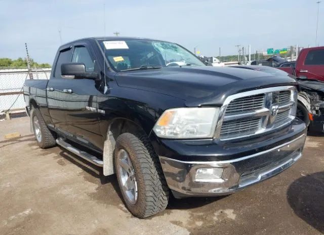 DODGE NULL 2010 1d7rv1gt1as136146