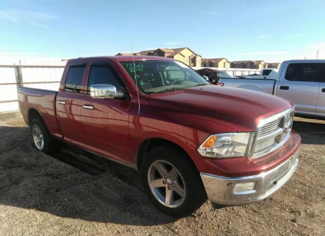 DODGE RAM 1500 2010 1d7rv1gt1as149155