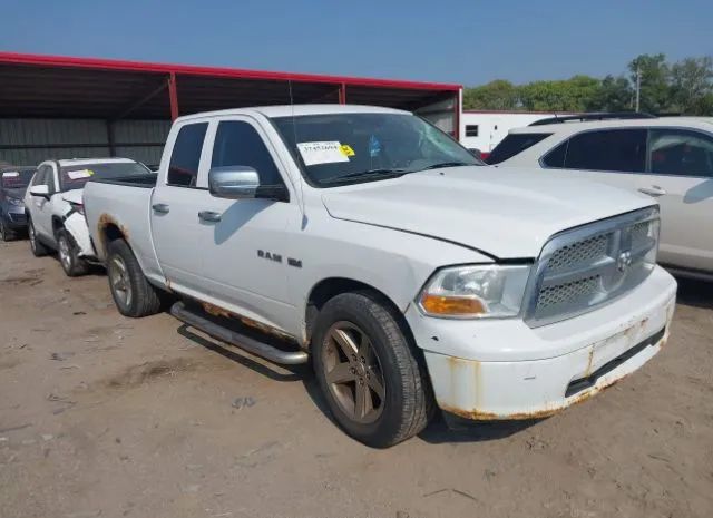 DODGE RAM 1500 2010 1d7rv1gt1as203733