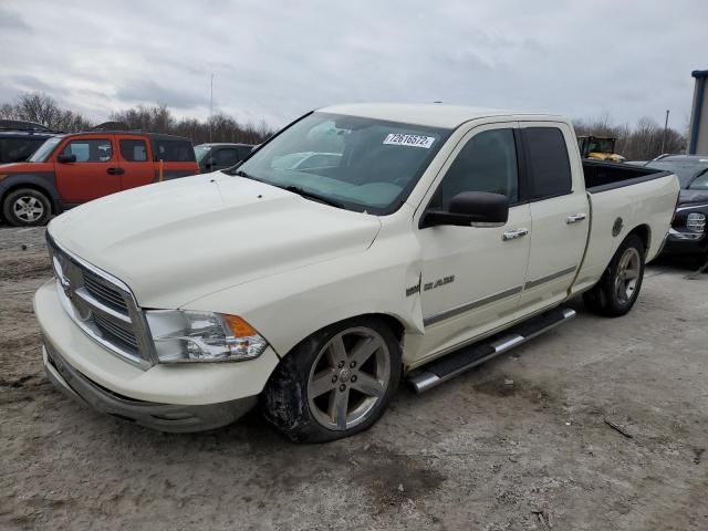 DODGE RAM 1500 2010 1d7rv1gt1as227515