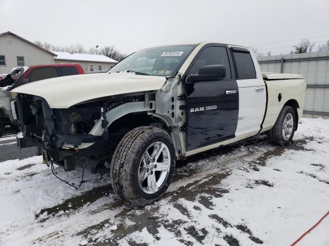 DODGE RAM 1500 2010 1d7rv1gt1as234190