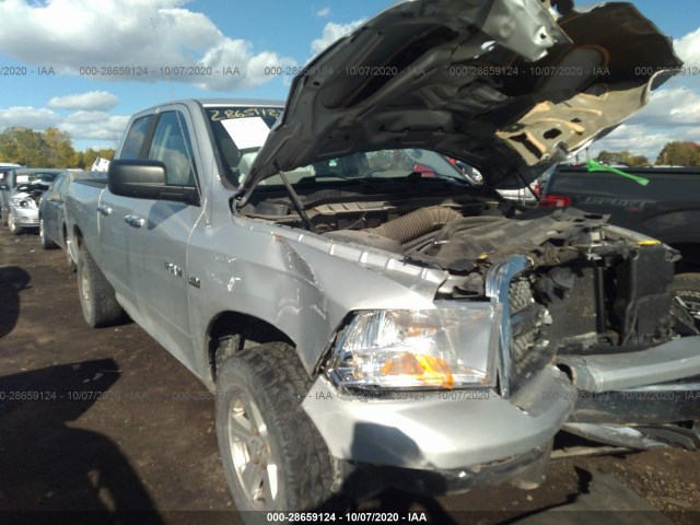 DODGE RAM 1500 2010 1d7rv1gt1as257694