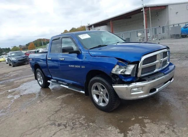 RAM NULL 2011 1d7rv1gt1bs501586