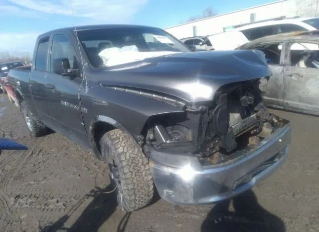 RAM 1500 2011 1d7rv1gt1bs694774