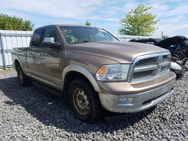 DODGE RAM 1500 2010 1d7rv1gt2as152632