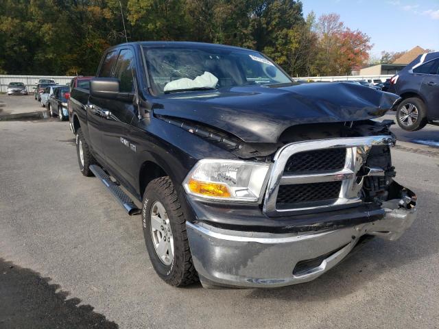 DODGE RAM 1500 2010 1d7rv1gt2as211954