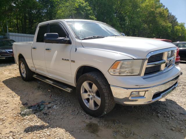 DODGE RAM 1500 2010 1d7rv1gt2as257834