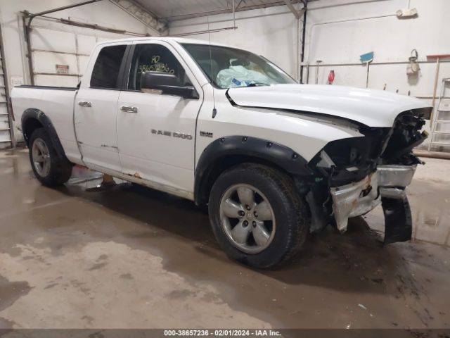 DODGE NULL 2011 1d7rv1gt2bs607724