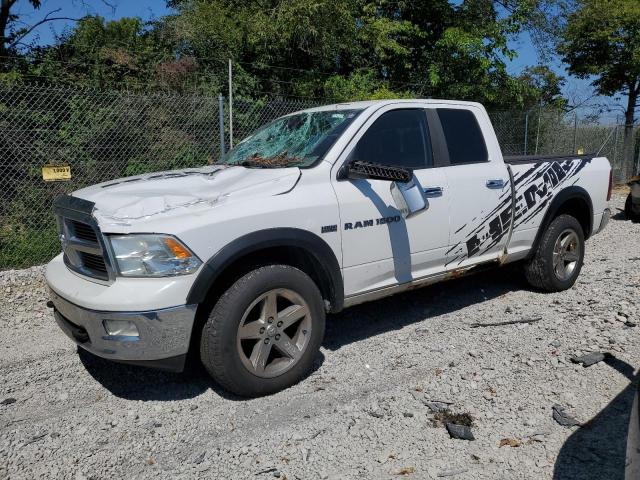 DODGE RAM 1500 2011 1d7rv1gt2bs648208