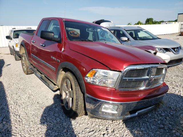 DODGE RAM 1500 2010 1d7rv1gt3as108591