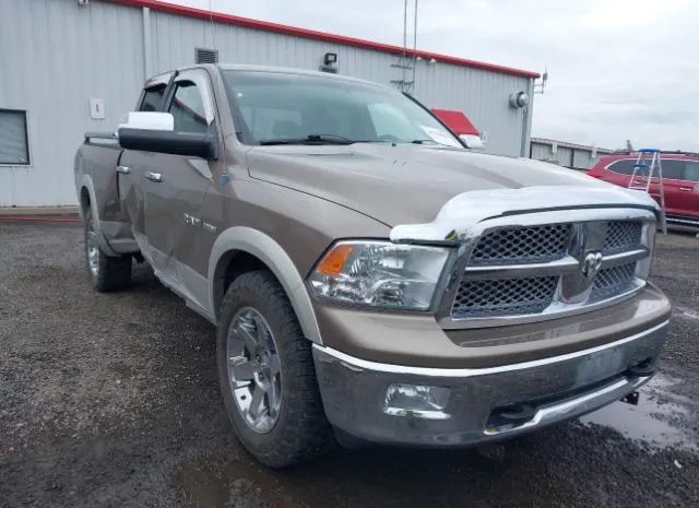 DODGE RAM 1500 2010 1d7rv1gt3as113497